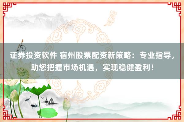 证券投资软件 宿州股票配资新策略：专业指导，助您把握市场机遇，实现稳健盈利！