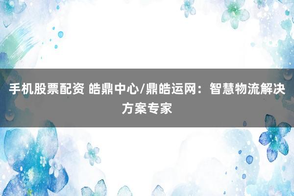 手机股票配资 皓鼎中心/鼎皓运网:智慧物流解决方案专家