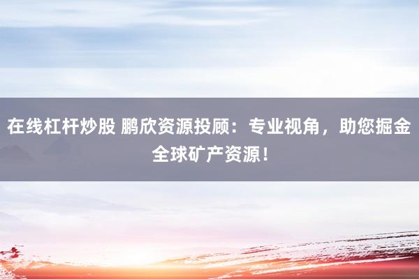 在线杠杆炒股 鹏欣资源投顾：专业视角，助您掘金全球矿产资源！
