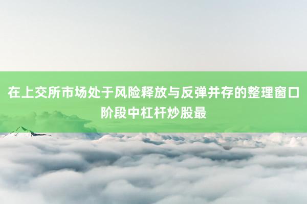 在上交所市场处于风险释放与反弹并存的整理窗口阶段中杠杆炒股最