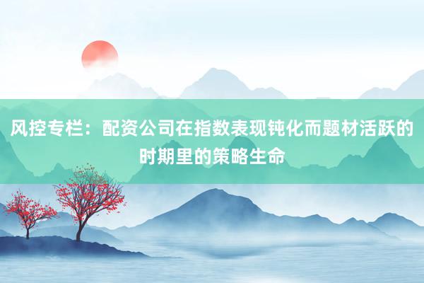 风控专栏：配资公司在指数表现钝化而题材活跃的时期里的策略生命