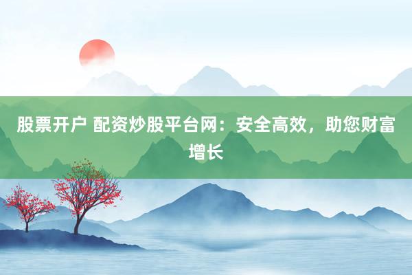 股票开户 配资炒股平台网:安全高效,助您财富增长