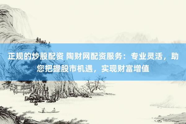 正规的炒股配资 陶财网配资服务：专业灵活，助您把握股市机遇，实现财富增值
