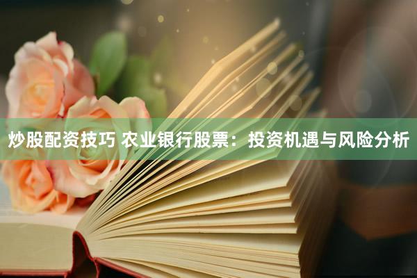炒股配资技巧 农业银行股票:投资机遇与风险分析