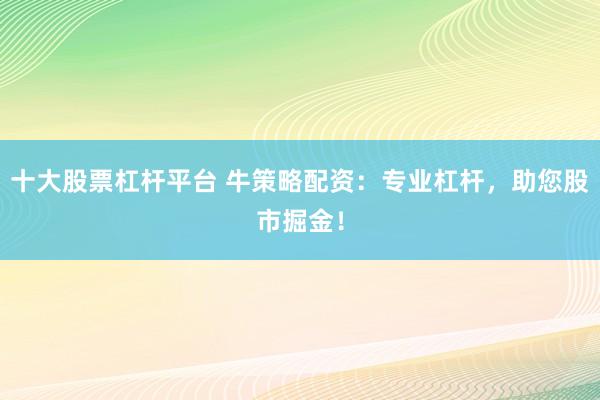 十大股票杠杆平台 牛策略配资：专业杠杆，助您股市掘金！