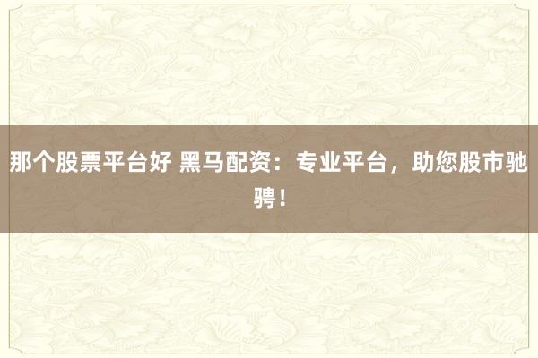 那个股票平台好 黑马配资:专业平台,助您股市驰骋!